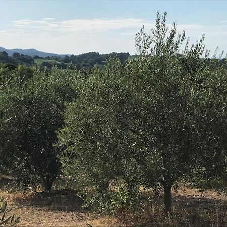 Gite Au Coeur Du Pays Cathare Verzeille Esterno foto