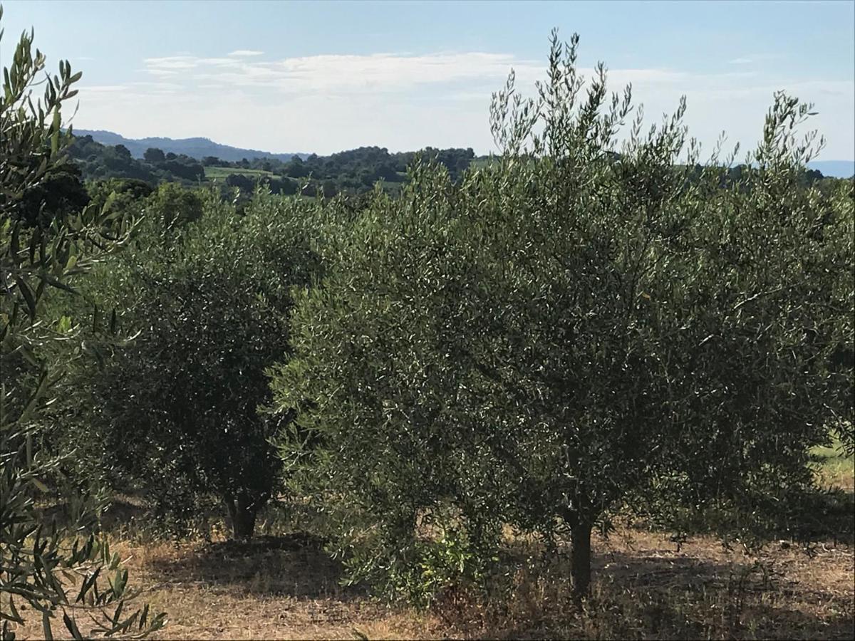 Gite Au Coeur Du Pays Cathare Verzeille Esterno foto