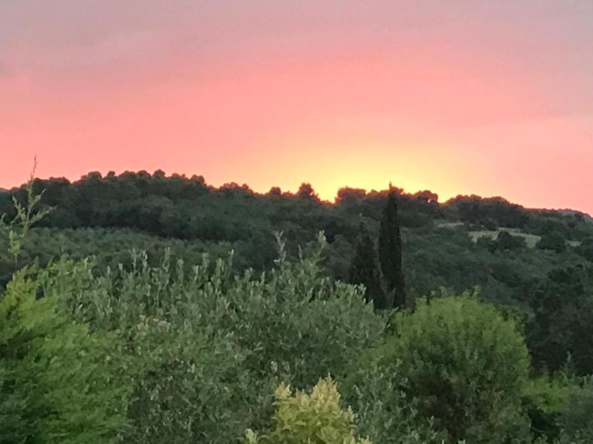 Gite Au Coeur Du Pays Cathare Verzeille Esterno foto